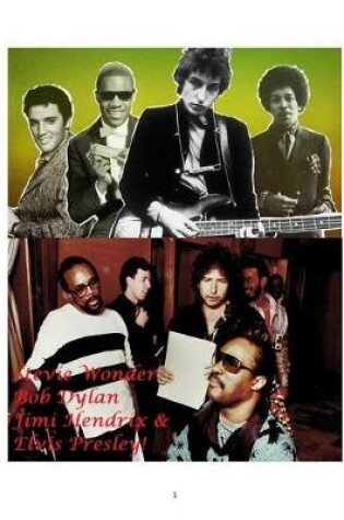 Cover of Stevie Wonder, Bob Dylan, Jimi Hendrix and Elvis Presley!