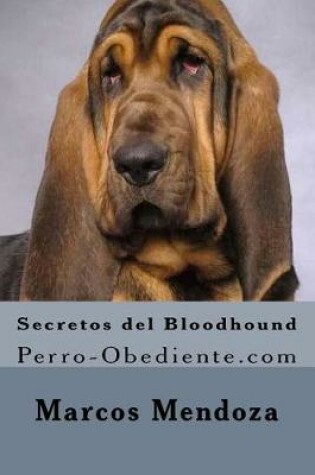 Cover of Secretos del Bloodhound