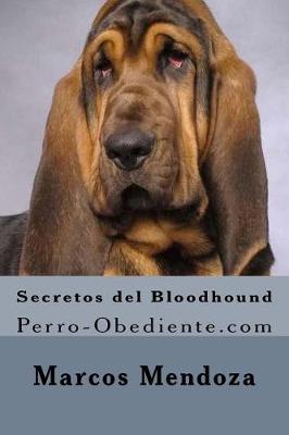 Book cover for Secretos del Bloodhound