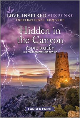 Book cover for Hidden in the Canyon