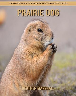 Book cover for Prairie Dog