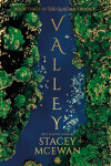 Book cover for Valley