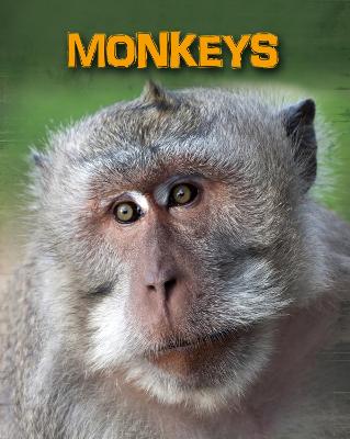 Book cover for Monkeys