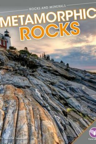 Cover of Metamorphic Rocks