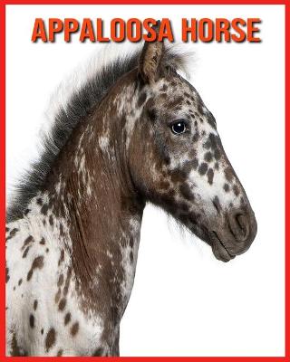 Book cover for Appaloosa Horse