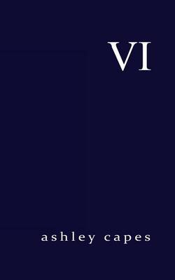 Book cover for VI