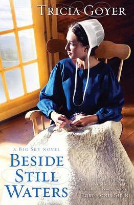 Book cover for Beside Still Waters