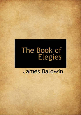 Book cover for The Book of Elegies