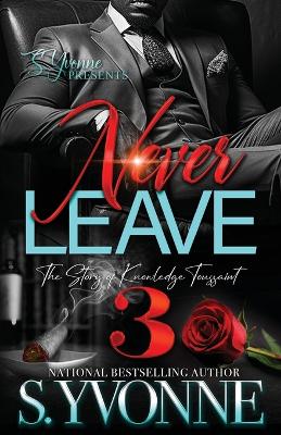 Book cover for Never Leave 3