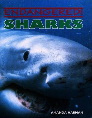 Cover of Sharks