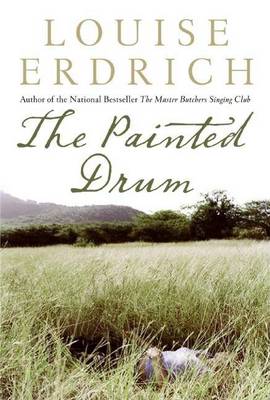 Book cover for The Painted Drum