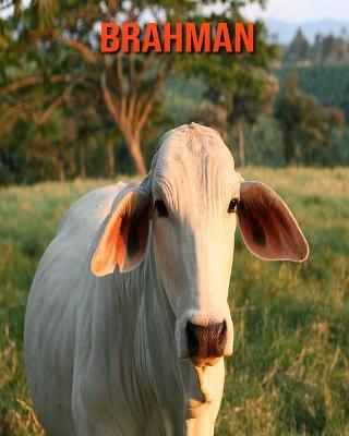 Book cover for Brahman