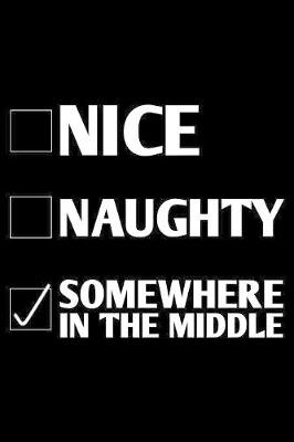 Book cover for Nice Naughty Somewhere in the middle