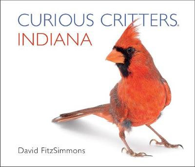 Book cover for Curious Critters Indiana