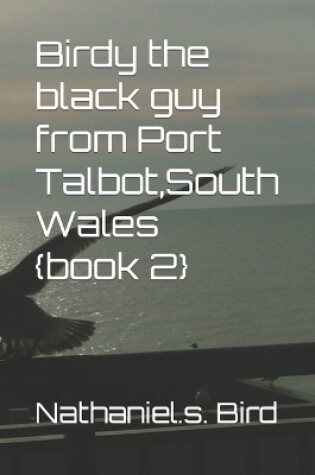 Cover of Birdy the black guy from Port Talbot South Wales {book 2}