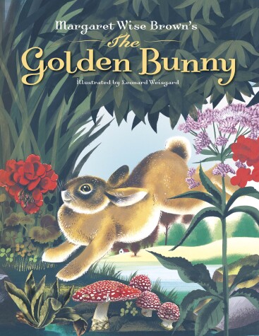 Book cover for Margaret Wise Brown's The Golden Bunny