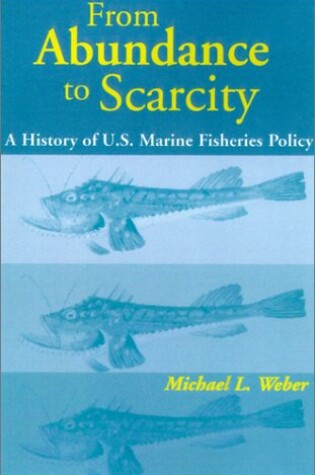 Cover of From Abundance to Scarcity