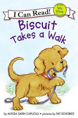 Book cover for Biscuit Takes a Walk