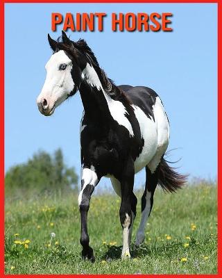 Book cover for Paint Horse