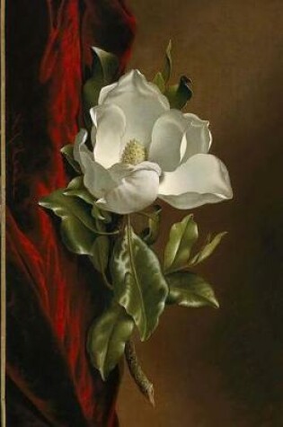 Cover of Martin Johnson Heade Hudson River School Magnolia Grandiflora