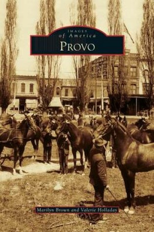 Cover of Provo