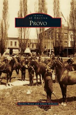 Book cover for Provo