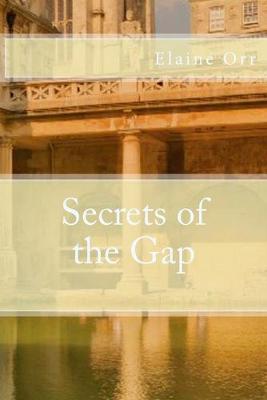 Book cover for Secrets of the Gap