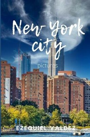 Cover of New york city