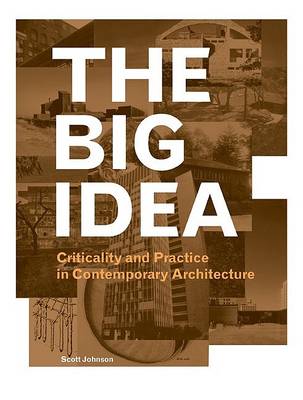 Book cover for The Big Idea