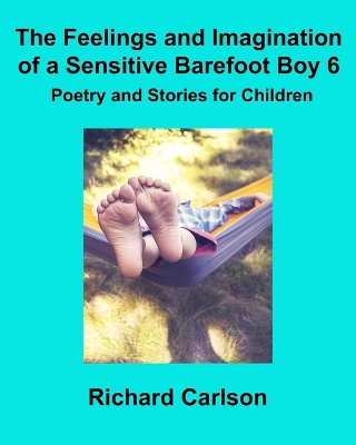 Book cover for The Feelings and Imagination of a Sensitive Barefoot Boy 6