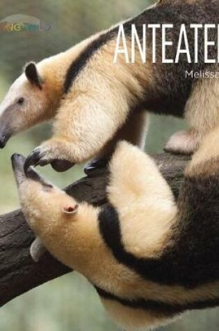 Cover of Anteaters