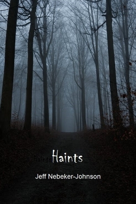 Book cover for Haints