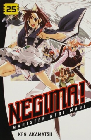 Book cover for Negima! 25