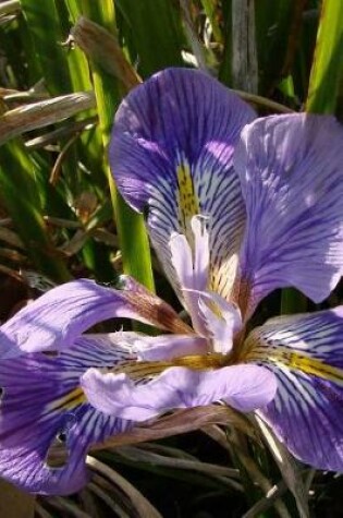 Cover of Iris Unguicularis Blooming in the Spring Garden Journal