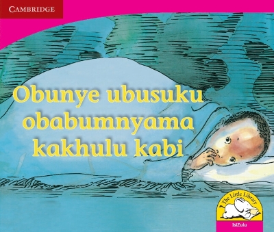 Book cover for Obunye ubusuku obabumnyama kakhulu kabi (IsiZulu)