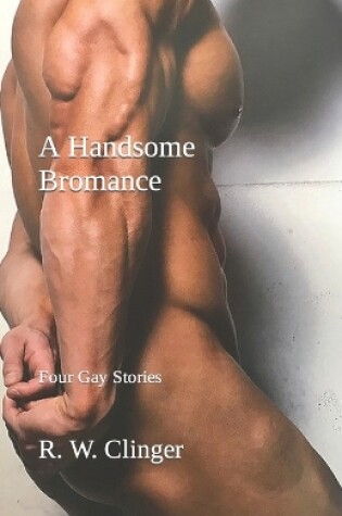 Cover of A Handsome Bromance