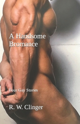 Book cover for A Handsome Bromance