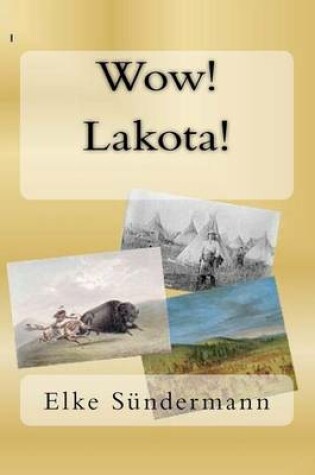 Cover of Wow! Lakota!