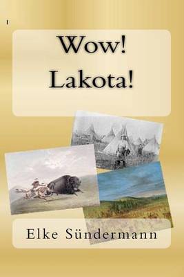 Book cover for Wow! Lakota!