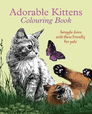 Book cover for Adorable Kittens Colouring Book