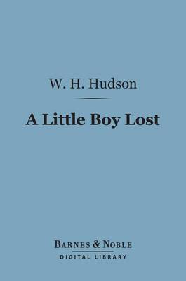 Book cover for A Little Boy Lost (Barnes & Noble Digital Library)