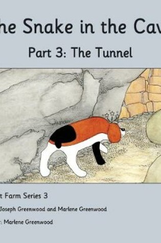 Cover of The Tunnel