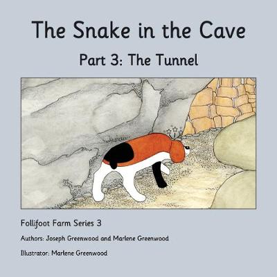 Book cover for The Tunnel