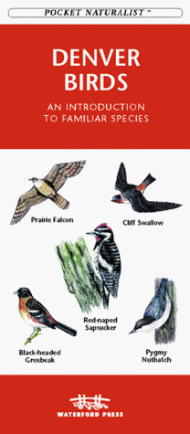 Cover of Denver Birds