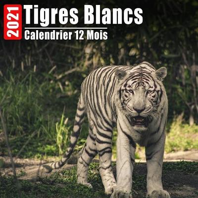 Cover of Calendrier 2021 Tigres Blancs