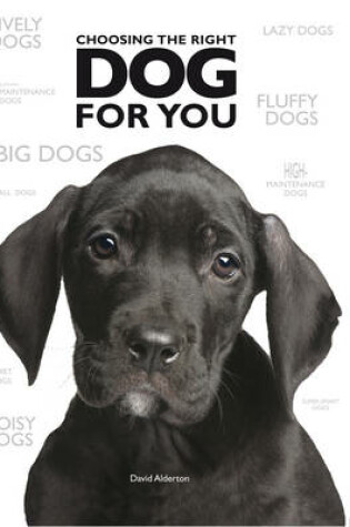Cover of Choosing the Right Dog for You
