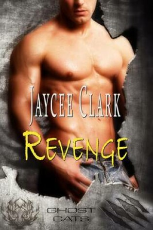 Cover of Revenge