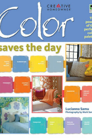 Cover of Color Saves the Day