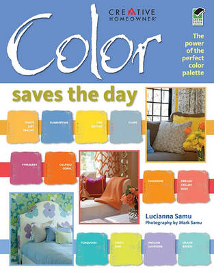 Book cover for Color Saves the Day