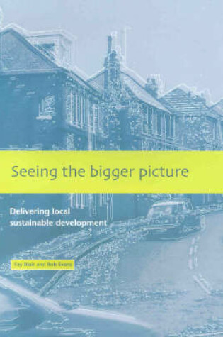 Cover of Seeing the Bigger Picture